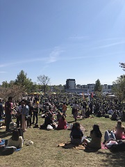 桜祭り / ヘルシンキ